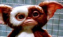 Celebrate Gremlins’ 35th Anniversary with amazing images and 4K Ultra Blu-Ray!!