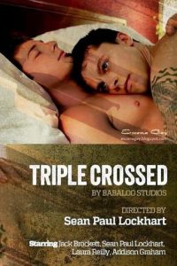 Poster for the movie "Triple Crossed"