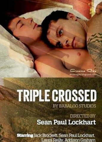 Poster for the movie "Triple Crossed"