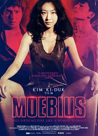 Poster for the movie "Moebius"