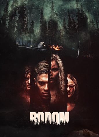 Poster for the movie "Lake Bodom"