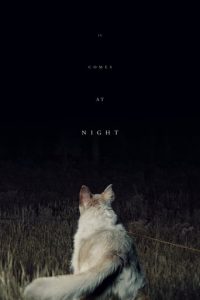 Poster for the movie "It Comes at Night"