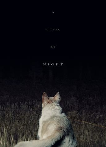 Poster for the movie "It Comes at Night"