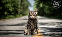 Pet Sematary poster and new trailer is here!!