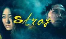 Check out the awesome trailer for Stray!!