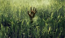 Stephen King and Joe Hill’s In The Tall Grass arrives in October!!